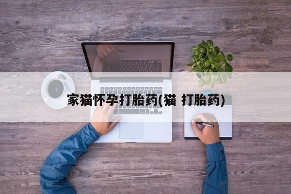 网上米非司酮片在线购买家猫怀孕打胎药(猫 打胎药)