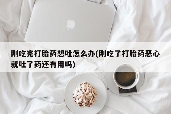 网上米非司酮片在线购买刚吃完打胎药想吐怎么办(刚吃了打胎药恶心就吐了药还有用吗)